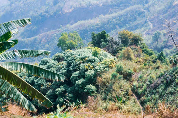 stock image Mountain view of Bandarban, Bangladesh. Nature