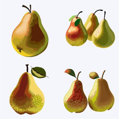 Beyaz bir zemin üzerinde olgun armutlar. Vektör illüstrasyonu