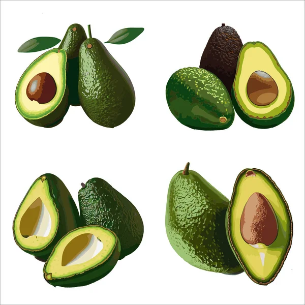Avocado Set Vorhanden Avocado Vektor Illustration Isoliert Auf Weißem Hintergrund — Stockvektor