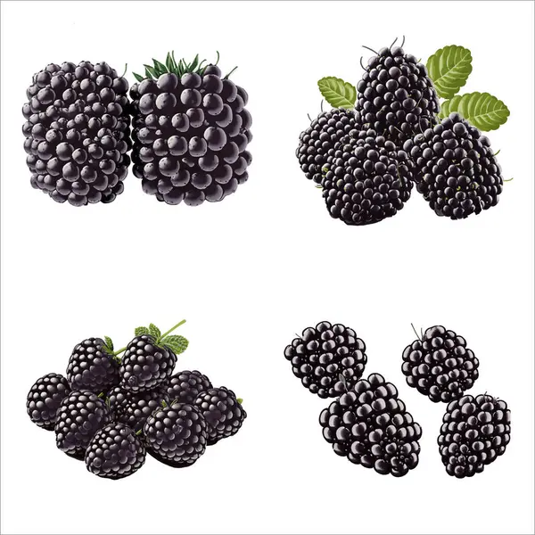 Mooie Blackberry Vector Solide Achtergrond Illustratie — Stockvector