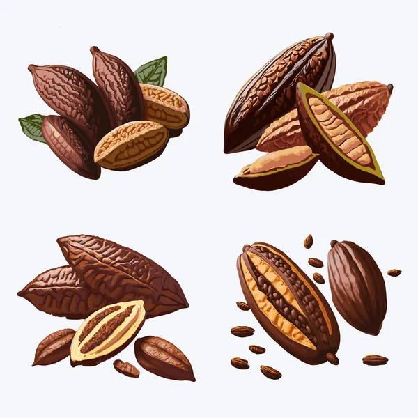 Yapraklı Tohumlu Kakao Çekirdekleri Kakao Çekirdeğinin Vektör Çizimi — Stok Vektör