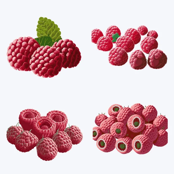 Beautiful Raspberry Solid Background Vector Illustration — Stock Vector