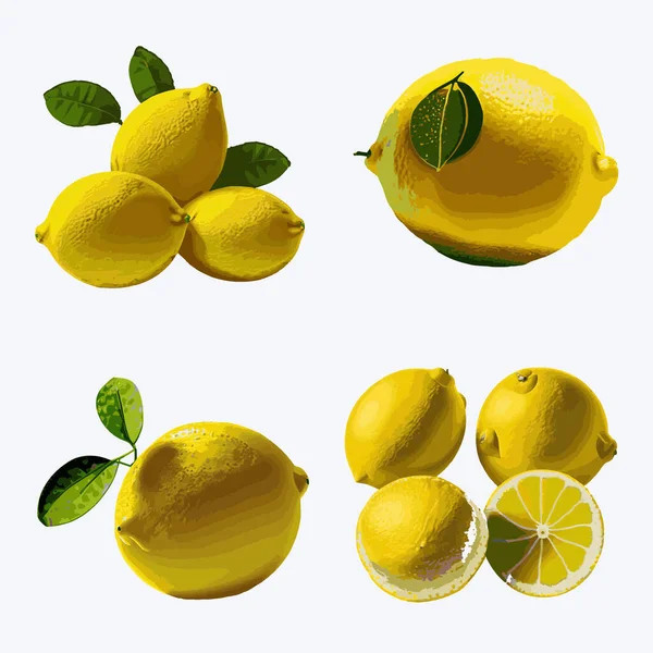 Lemon Set Vector Illustration Isolated White Background — Stock Vector