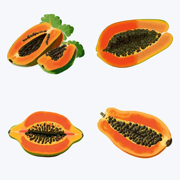 Papaia Fruto Vetor Ilustração Fruta Mamão Realista Com Sementes — Vetor de Stock