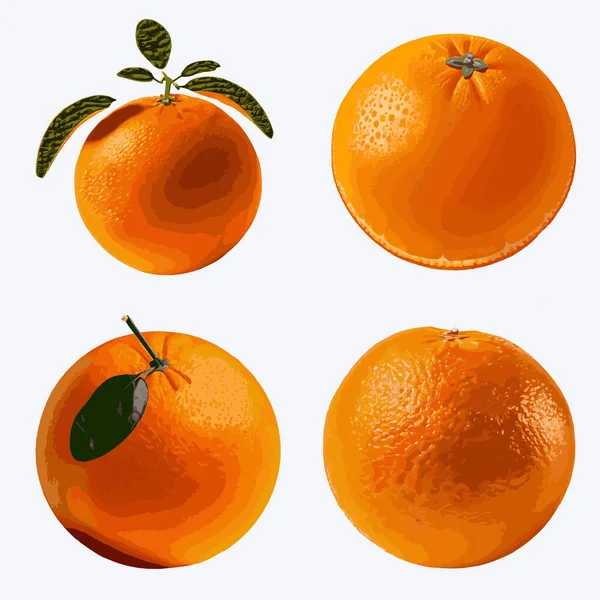Orange Fruit Set Isolated White Background Vector Illustration — Stock Vector