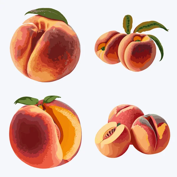 Pfirsichfruchtset Vorhanden Vektorillustration Von Pfirsich Isoliert Auf Weißem Hintergrund — Stockvektor