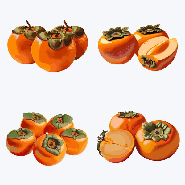 Persimmon Fruit Set Vectorillustratie Van Rijp Persimmonfruit — Stockvector