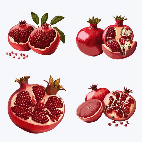 Granatapfelfruchtset Vorhanden Illustration Des Granatapfelvektors — Stockvektor