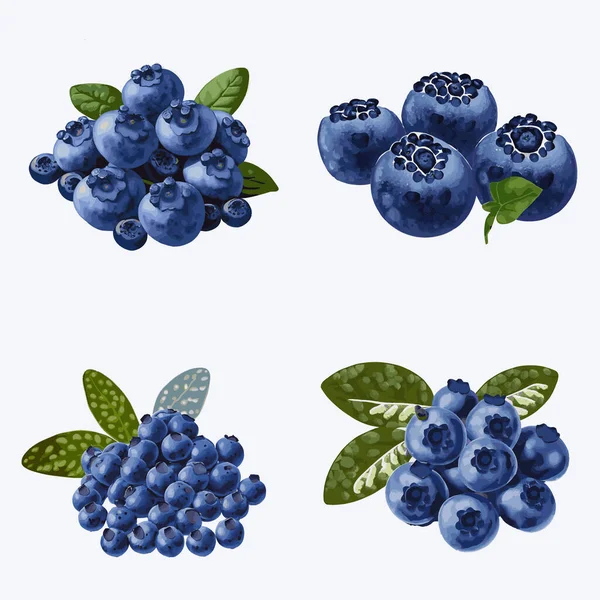 Set Blueberries Leaves Isolated White Background Vector Illustration — Stock Vector