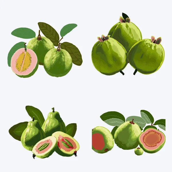 Set Van Guava Vruchten Met Bladeren Plakjes Vectorillustratie — Stockvector