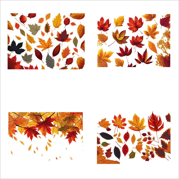 Набор Осенних Листьев Изолирован Белом Фоне Векторная Иллюстрация Eps10 — стоковый вектор