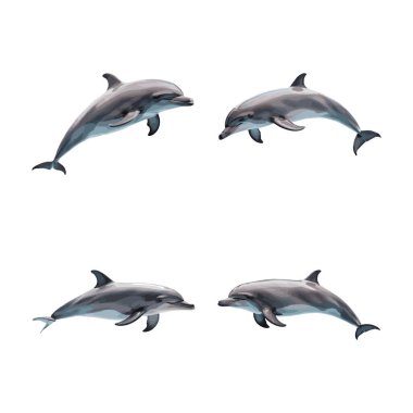 Güzel Yunus kümesi beyaz arkaplanda izole