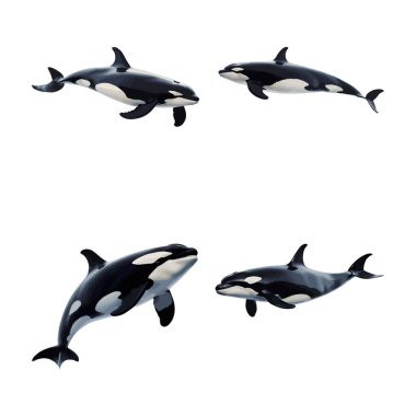 Güzel Katil balina seti beyaz arka planda izole edilmiş.