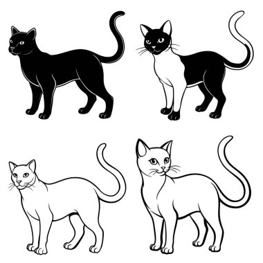 Üç boyutlu dinamik kedi silueti çizimi