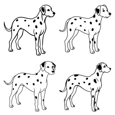 Üç boyutlu dinamik dalmaçyalı siluet çizgisi sanatı