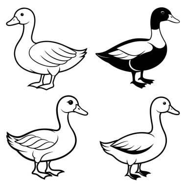 Üç boyutlu dinamik ördek silueti çizimi