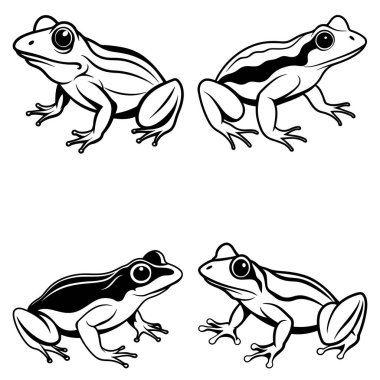 Üç boyutlu dinamik kurbağa silueti çizimi