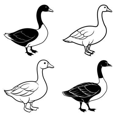 Üç boyutlu dinamik kaz silueti çizimi