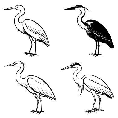 Dinamik balıkçıl siluet çizgisi sanatının 3 boyutlu canlandırması