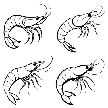 Üç boyutlu dinamik karides siluet çizgisi sanatı