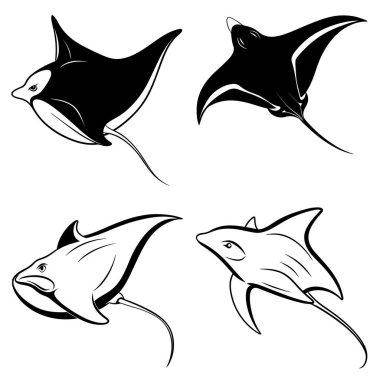 Üç boyutlu dinamik vatoz siluet çizgisi sanatı