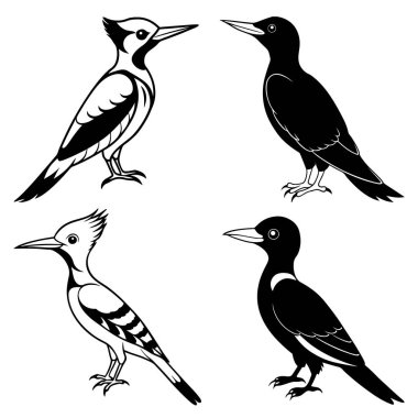 Üç boyutlu dinamik ağaçkakan siluet çizgisi sanatı.