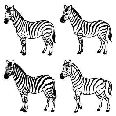 3 boyutlu dinamik zebra siluet çizgisi sanatı