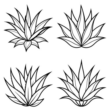 3D dinamik Aloe vera siluet çizgisi sanatı