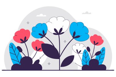 Yumuşak pamuklu toplara benzeyen büyük yumuşak yapraklar yuvarlak bir çiçek şekli oluşturur.