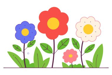 Her çiçek, küçük yumuşak noktalardan oluşan sıkı bir kümelenmiş buluttan meydana gelir ve yuvarlak bir çiçek şekli oluşturur.