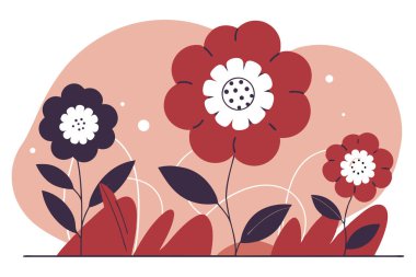 Yumuşak kraterlere benzeyen çiçek merkezleri ya da yuvarlak yapraklarla çevrili kabarcıklar.