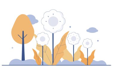 Yumuşak krater ya da baloncuklara benzeyen, yuvarlak taç yapraklarıyla çevrili çiçek merkezleri.