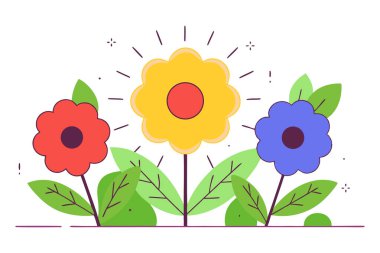 Yuvarlak çiçek merkezleri yumuşak noktalı ışınlar ya da dışa doğru yayılan mini taç yapraklarıyla