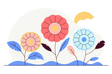 Yaprak yapraklarının pürüzsüz, yuvarlanan okyanus dalgalarını taklit ettiği yuvarlak çiçekler.