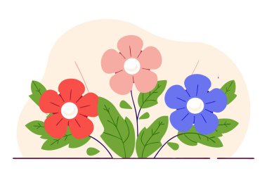 Hafif desenli pastel boya ile yuvarlak taç yaprakları düz olmayan dolgular.