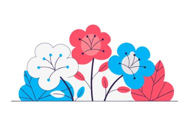 Yuvarlak şekilli kalın yastık yaprakları. Küçük yastıklar gibi yumuşak kıvrımlar.