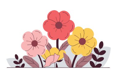 Yuvarlak şekilli kalın yastık yaprakları. Küçük yastıklar gibi yumuşak kıvrımlar.