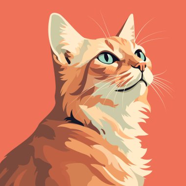 Parlak bir arka planda basit turuncu ve beyaz bir kedi. Hayvan yukarı bakıyor. Çizim, vektör, stil tasarımı