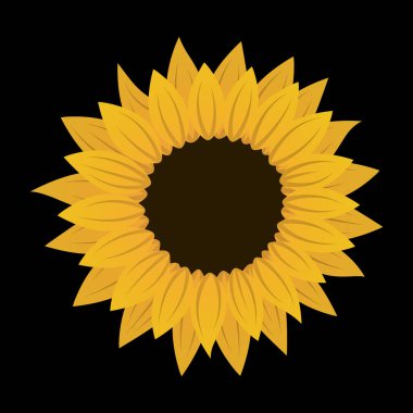 Siyah arka planda sevimli bir ayçiçeği. İzole vektör çizimi. Yaz sarısı turuncu çiçek sanatı