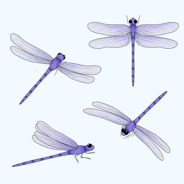 Cute dragonflies set. Purple insect drawn from four different positions. Damselfly flat vector illustration. Spring, summer nature.