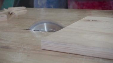 Fabrika işçisi dairesel testere ile bir ağaç kesiyor. Kontrplak talaşı uçuyor.