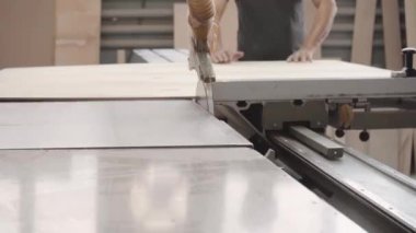 Fabrika işçisi dairesel testere ile bir ağaç kesiyor. Kontrplak talaşı uçuyor.