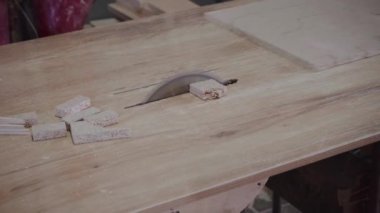 Fabrika işçisi dairesel testere ile bir ağaç kesiyor. Çizgili tahta talaşı uçuyor.