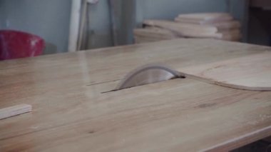 Fabrika işçisi dairesel testere ile bir ağaç kesiyor. Kontrplak talaşı uçuyor.