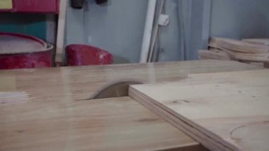 Fabrika işçisi dairesel testere ile bir ağaç kesiyor. Kontrplak talaşı uçuyor.