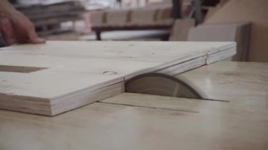 Fabrika işçisi dairesel testere ile bir ağaç kesiyor. Kontrplak talaşı uçuyor.