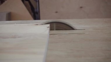 Fabrika işçisi dairesel testere ile bir ağaç kesiyor. Kontrplak talaşı uçuyor.