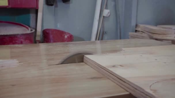 工厂工人用圆锯砍树 胶合板的木屑在飞舞 — 图库视频影像