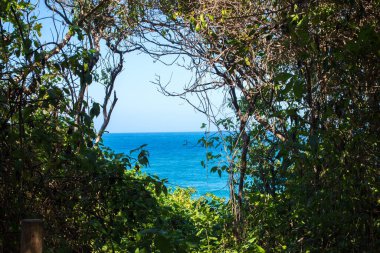 tropikal bir plaj göster