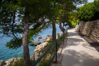 Hırvatistan 'ın Cavtat kenti yakınlarındaki deniz kıyısında yürüyüş